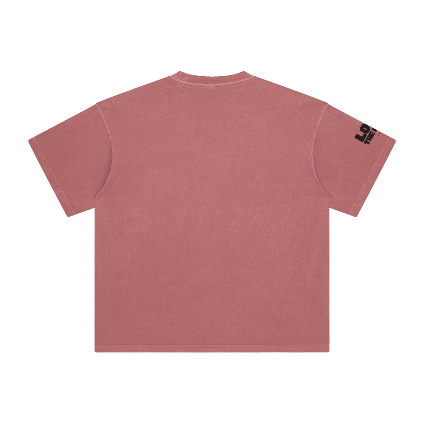 I Said What I Said Enzyme Washed T-Shirt
