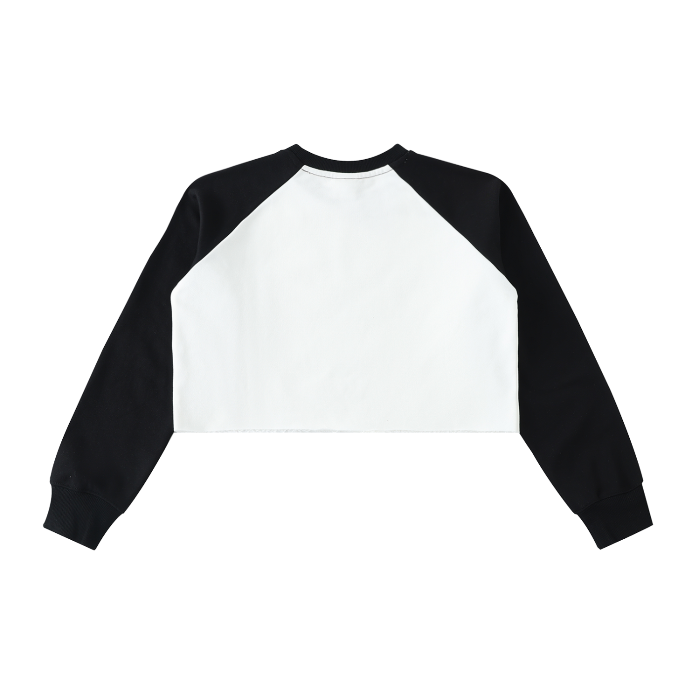 Lost the Plot Raw-Hem Color-Block Raglan Crop Sweatshirt