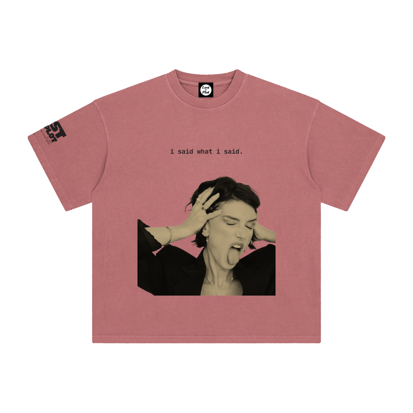I Said What I Said Enzyme Washed T-Shirt